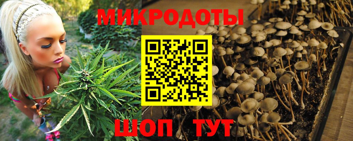 Псилоцибиновые грибы Magic Shrooms Буйнакск